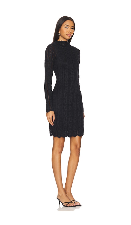 Steve Madden Kleid Nafia In Black