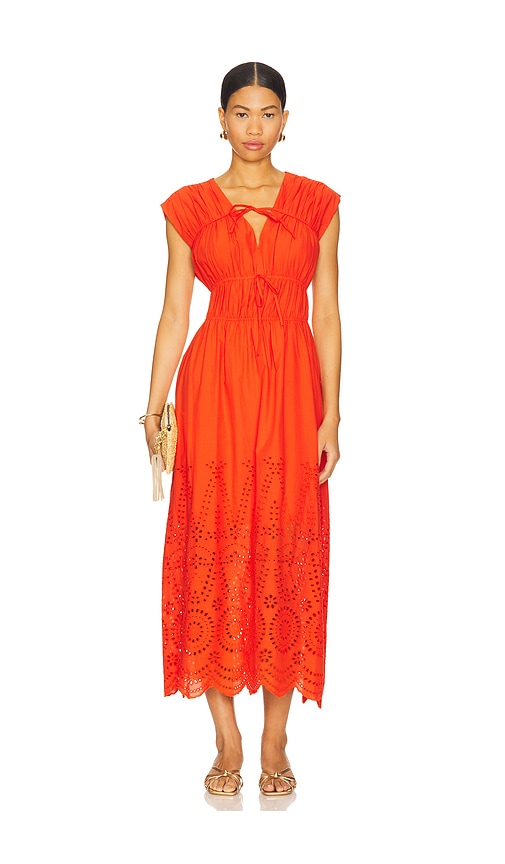 ROBE CLEMENTINA in . Size M, S, XL, XS - Steve Madden - Modalova
