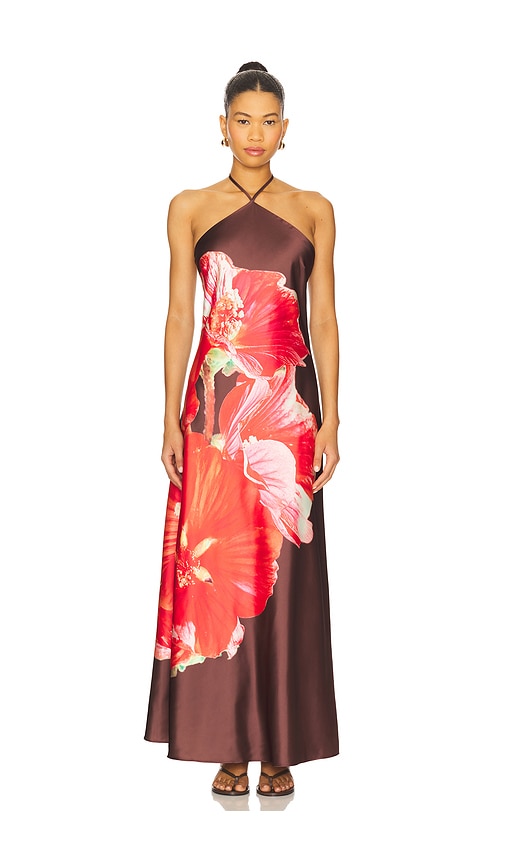 Steve Madden Flora Dress In Brown