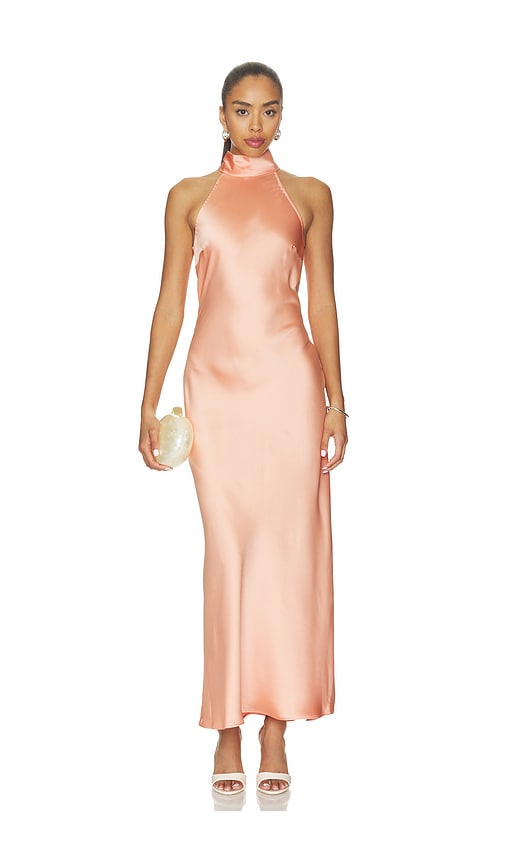 Steve Madden Maxi Halter Dress In Pink