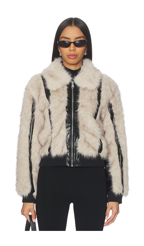 Steve Madden Charmaine Jacket