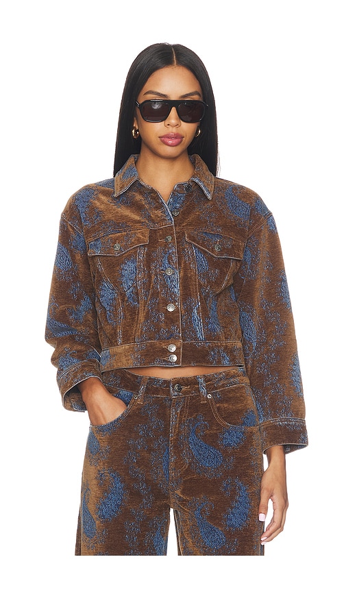 Steve Madden Dove Jacket In Brown