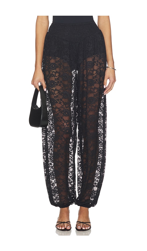 Steve Madden Alara Pant In Black