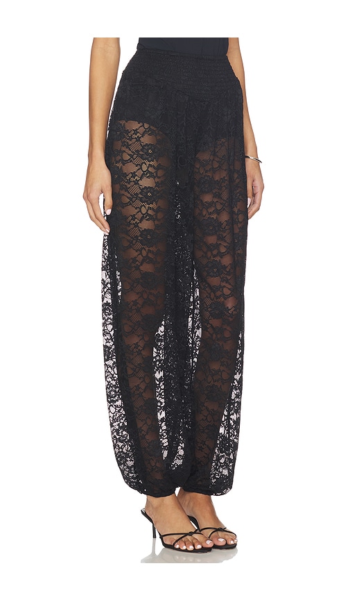 Steve Madden Alara Pant In Black