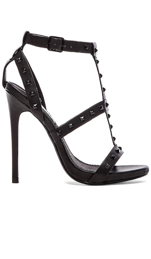 Stay Heel