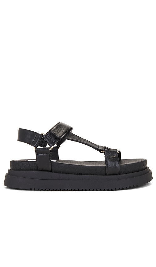 Steve Madden Black Sandals | REVOLVE