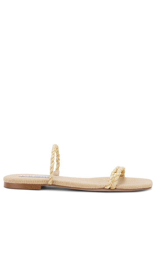 Shop Steve Madden Tahiti Sandal In 棕榈树叶