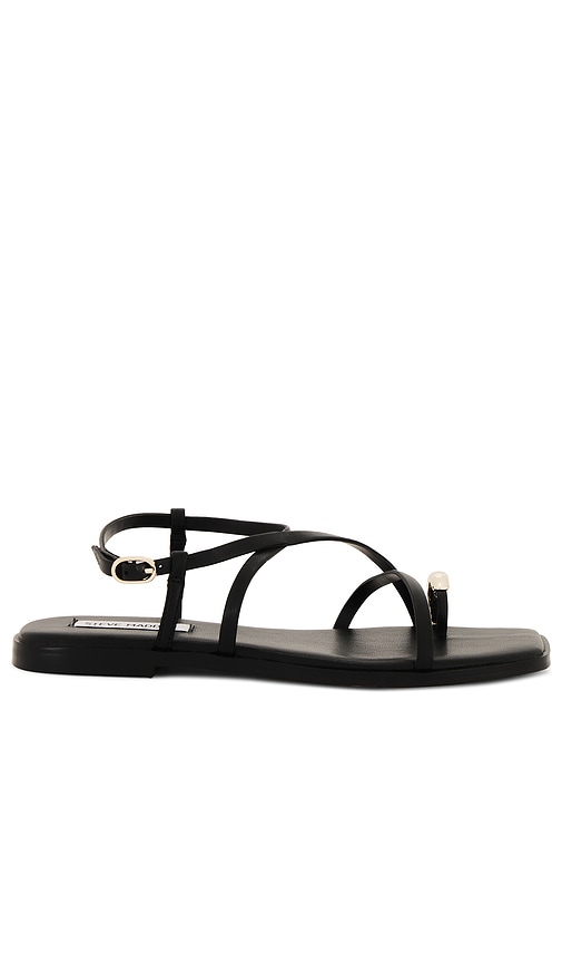 Steve Madden Vega Sandal in Black