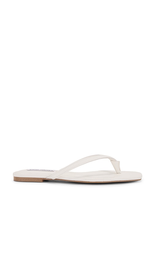 Shop Steve Madden Marnie Flip Flops In White