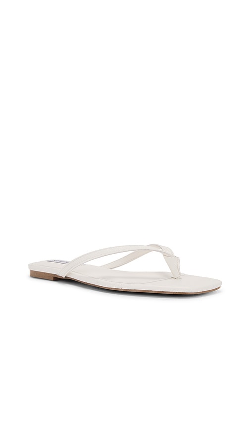 Shop Steve Madden Marnie Flip Flops In White