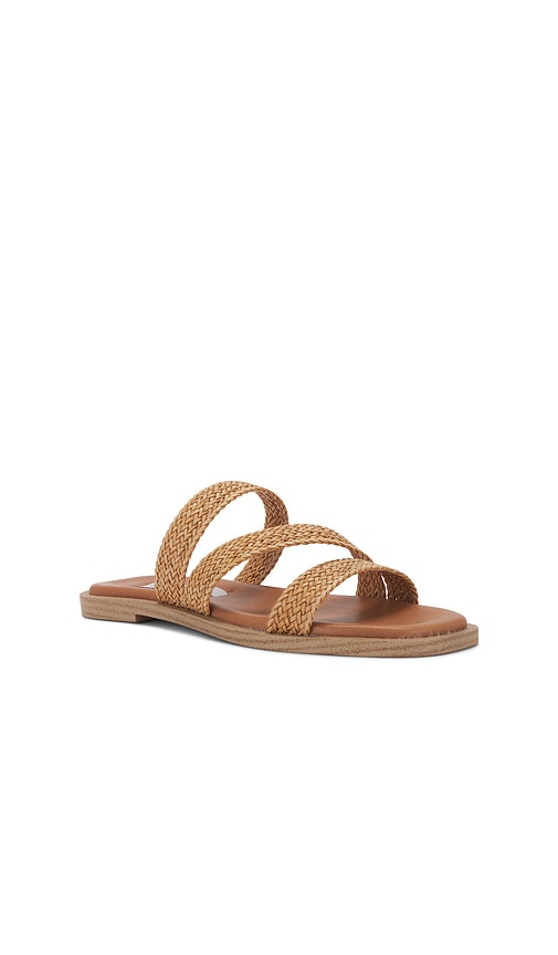 Shop Steve Madden Parkley Sandal In Tan