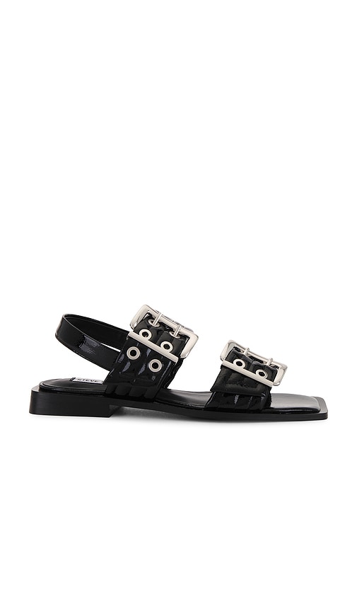 Sandria Sandal in Black. - size 6.5 (also in 7.5) - Steve Madden - Modalova