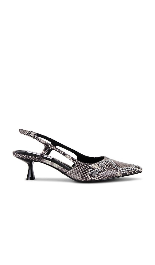 Steve Madden Legaci Sling Back in Snake
