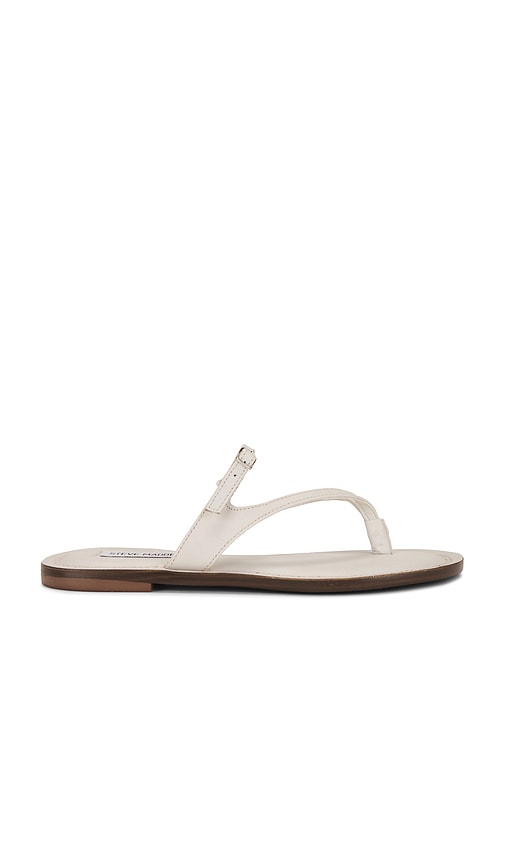 Shop Steve Madden Roca Sandal In 骨色皮革