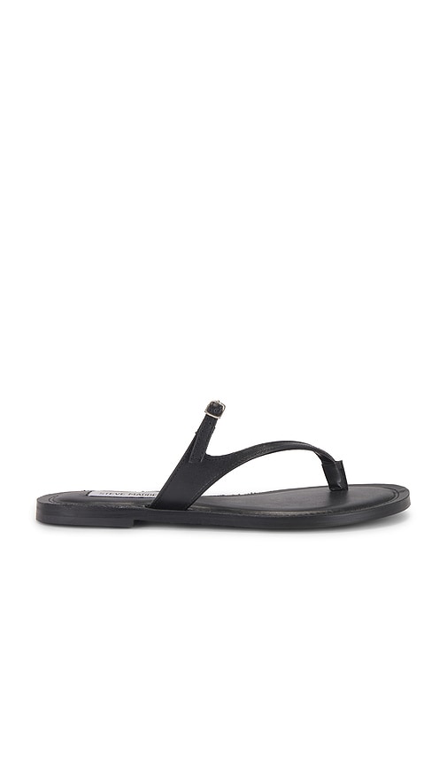 Shop Steve Madden Roca Sandal In 黑麻色