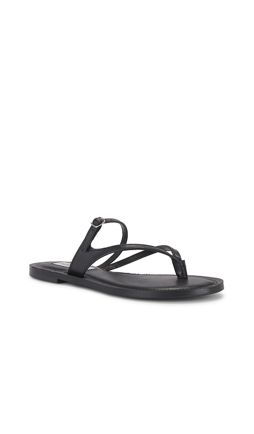 Shop Steve Madden Roca Sandal In 黑麻色