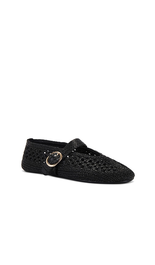 STEVE MADDEN DENICE BALLET FLAT