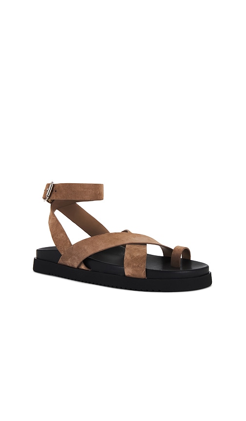 Steve Madden