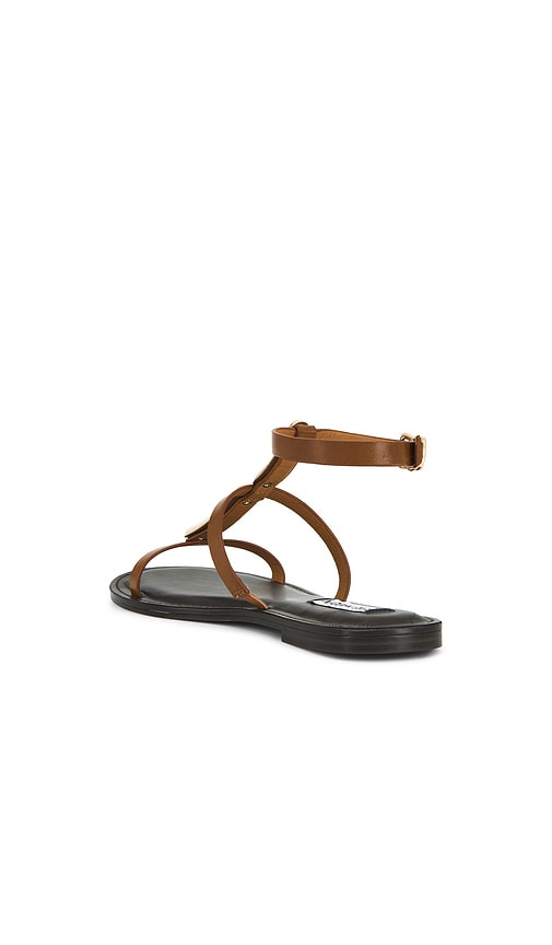  Steve Madden Sandalen Alma In Tan. Größe 6.5. Also In 8.5, 9. 