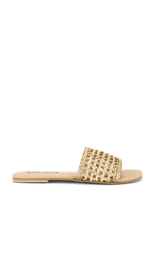 Steve Madden Gulf Slides