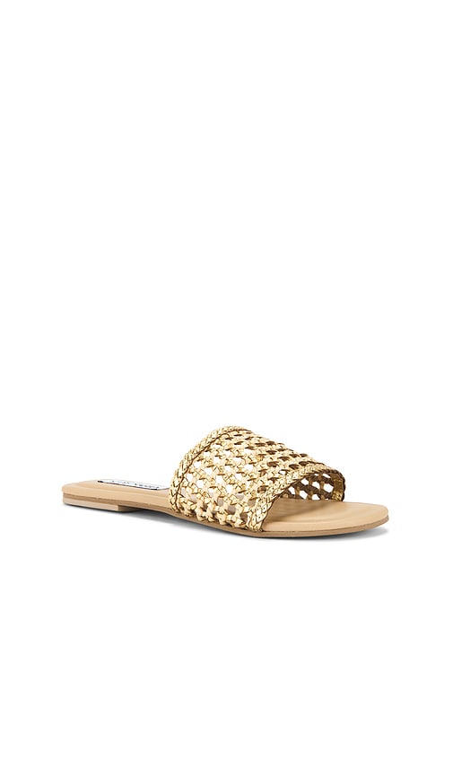 Steve Madden Gulf Slides