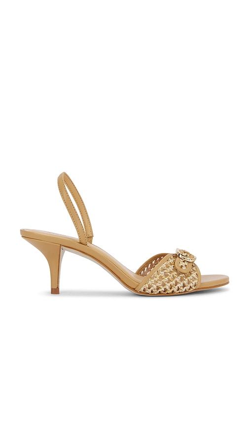 SANDALES HENRIETTA in . Size 6, 6.5, 7, 7.5, 8, 8.5, 9, 9.5 - Steve Madden - Modalova