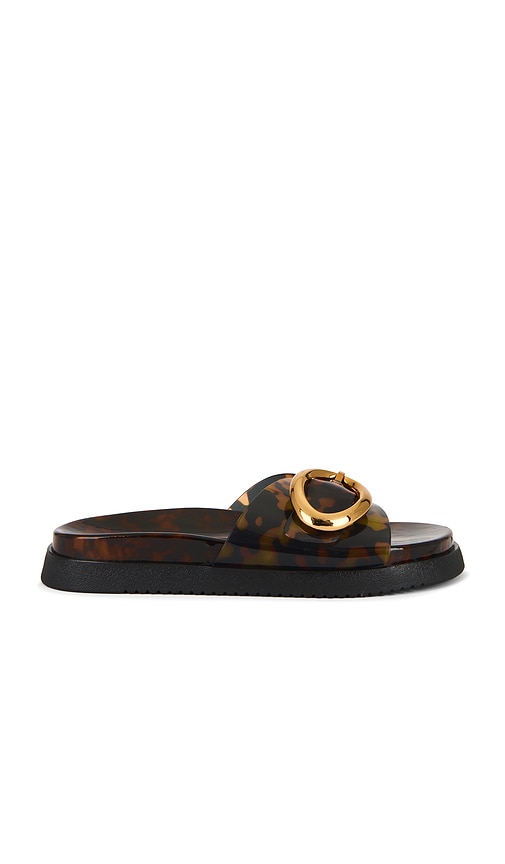 Mandie Slides in Brown. - size 10 (also in 5, 5.5, 6, 6.5, 7, 7.5, 8, 8.5, 9, 9.5) - Steve Madden - Modalova