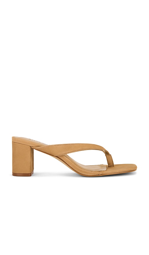 Dodie Sandals in Tan. - size 10 (also in 11, 5, 6, 6.5, 7, 7.5, 8, 8.5, 9, 9.5) - Steve Madden - Modalova