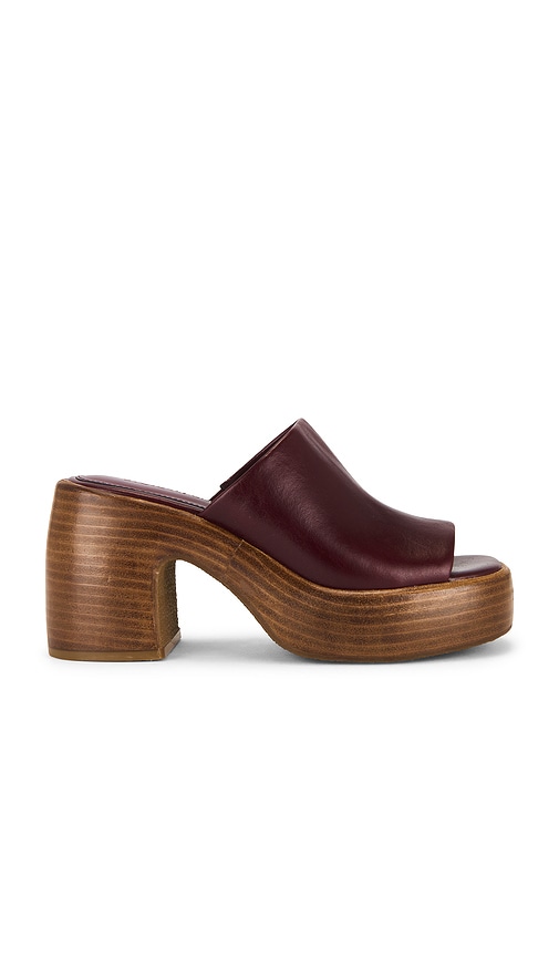 Shanton Sandal in Burgundy. - size 10 (also in 6, 6.5, 7, 7.5, 8, 8.5, 9, 9.5) - Steve Madden - Modalova