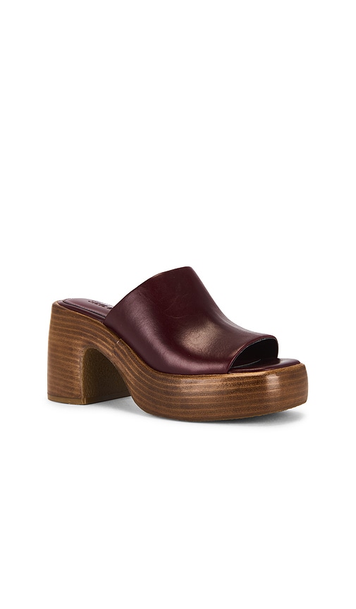Steve Madden Shanton Sandal In Burgundy