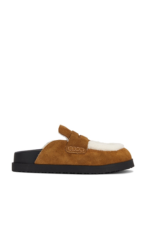 Tomlin Clog in Tan. - size 10 (also in 6, 7, 8, 9) - Steve Madden - Modalova