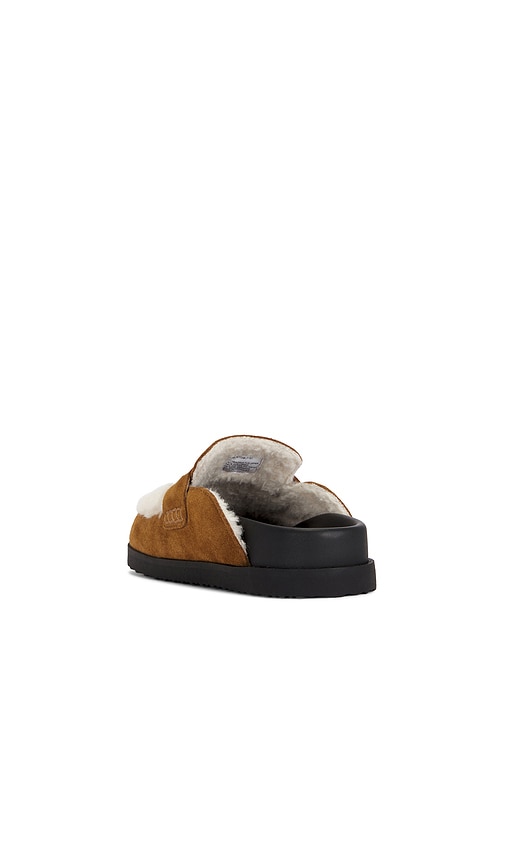  Steve Madden Clogs Tomlin In Tan. Größe 6. Also In 7, 8, 9, 10. 