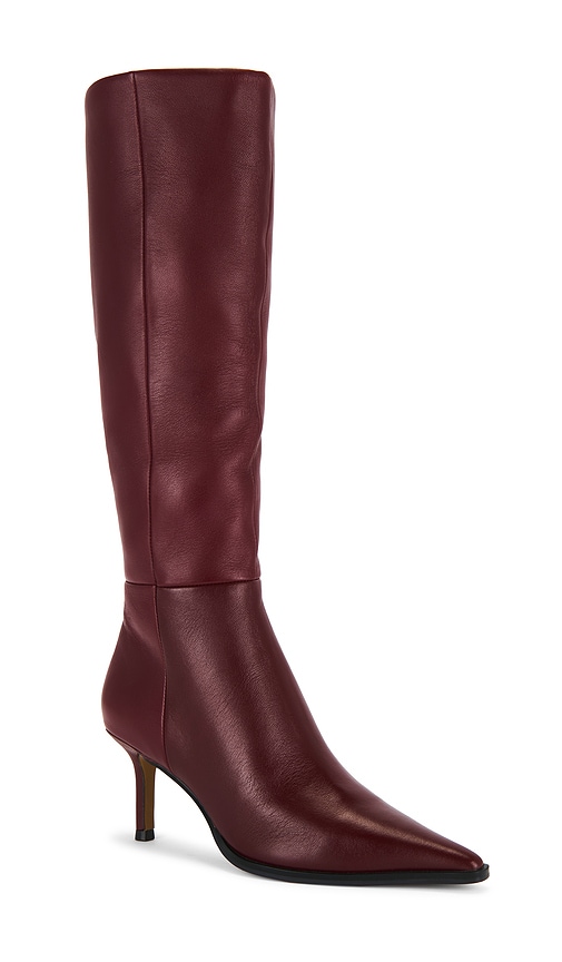 Steve Madden Lingo Pointed Toe Knee High Boot In Burgundy