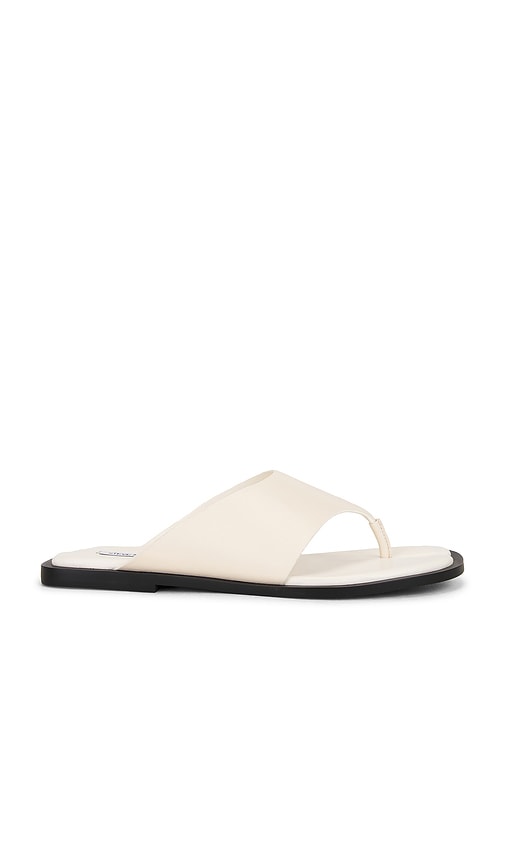 Steve Madden Illia Sandal