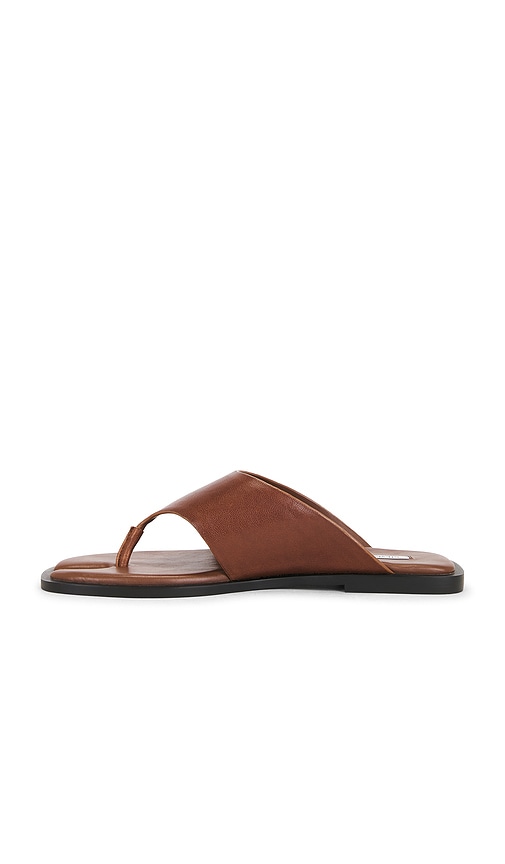 Steve Madden Illia Sandal | Thumbnail 5 Steve Madden Illia Sandal | Thumbnail 5