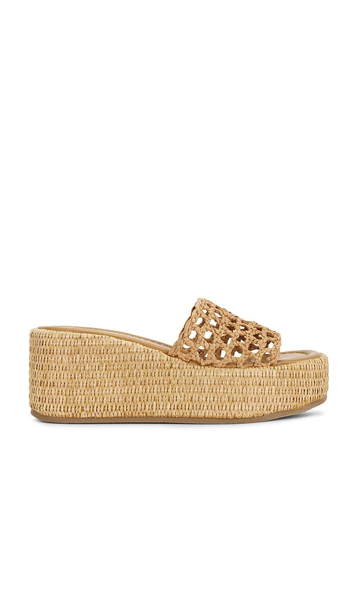 Steve Madden Brandy Sandal