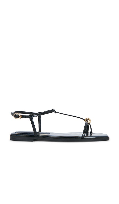 Steve Madden Ritzy Sandal in Black. - size 5.5 (also in 6, 6.5, 7, 7.5, 8, 8.5, 9, 9.5, 10, 11)