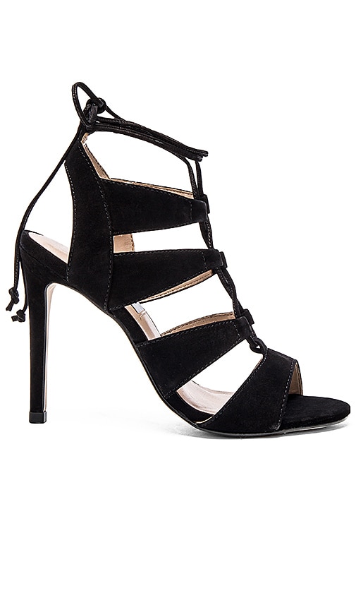 steve madden sebastian