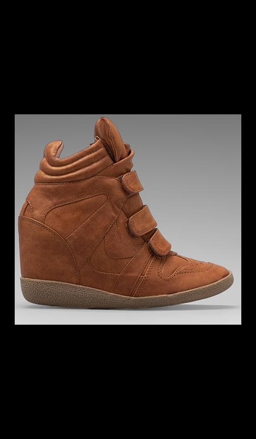 Hilight Sneaker