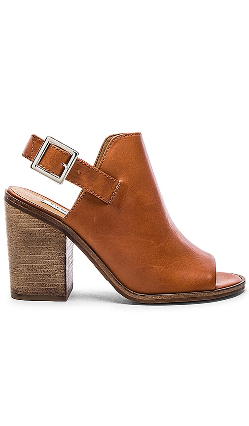 Steve Madden Talon Bootie in Cognac