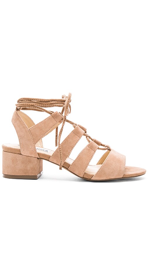 steve madden suede lace up sandals