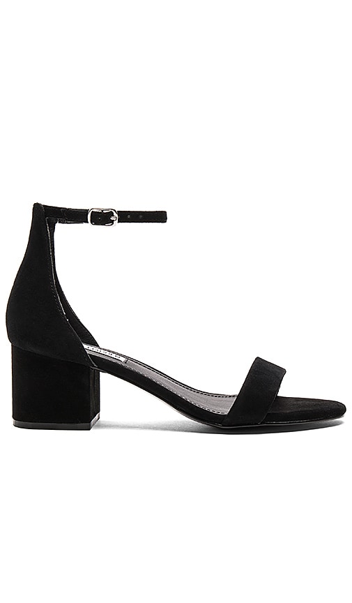 Steve Madden Irenee Sandal in Black Suede