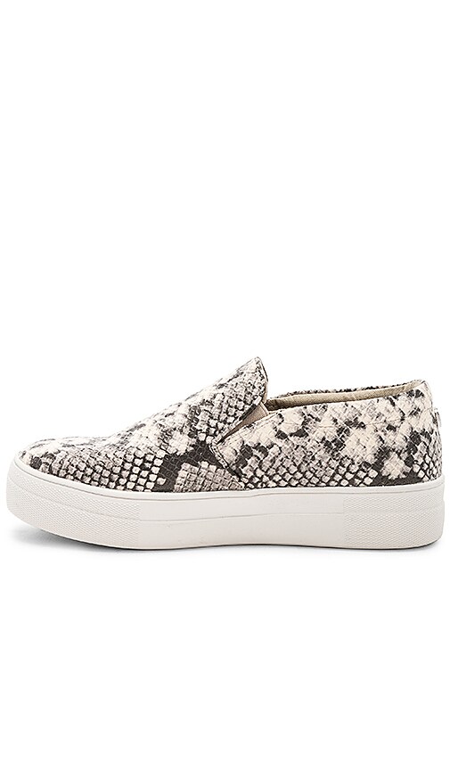 steve madden gills snakeskin