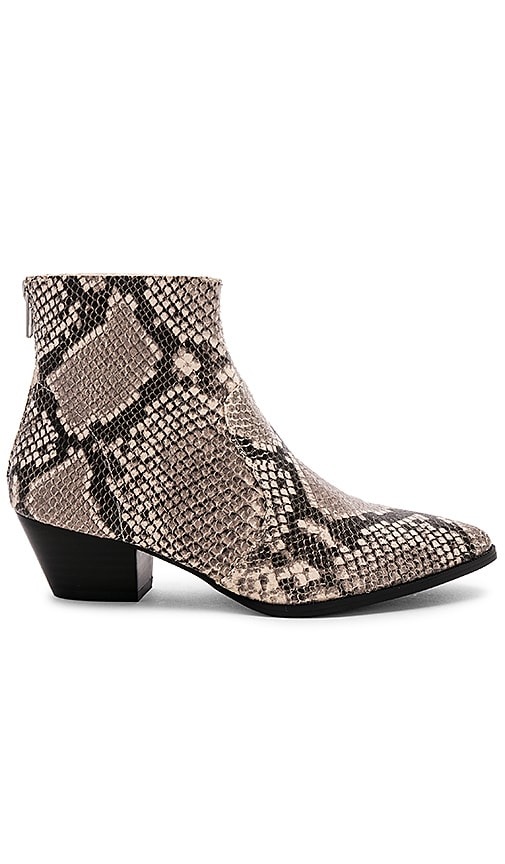 steve madden snake boots