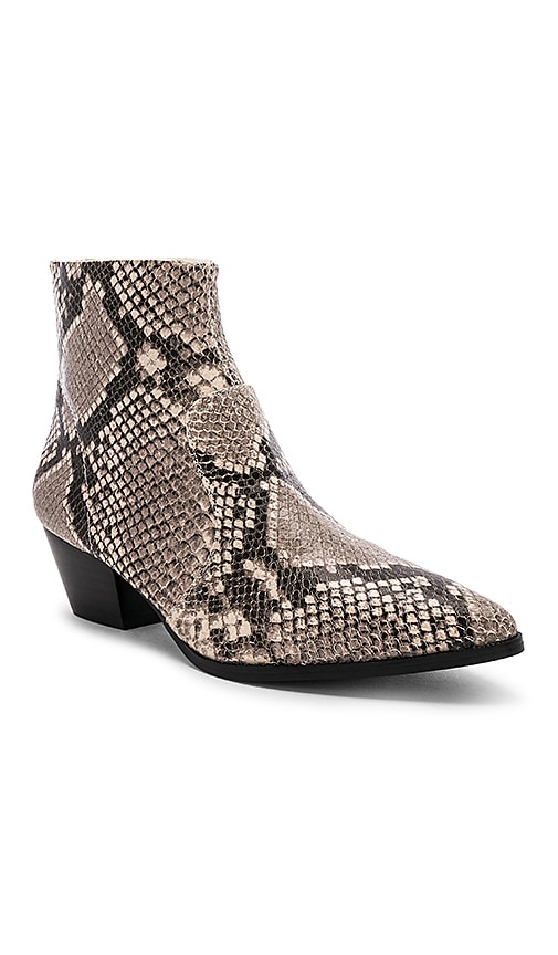 steve madden cafe bootie snakeskin
