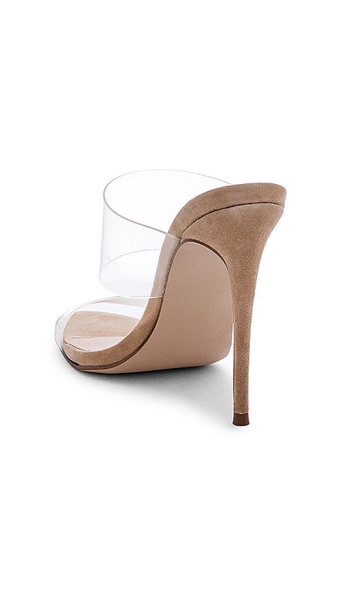 steve madden charlee clear