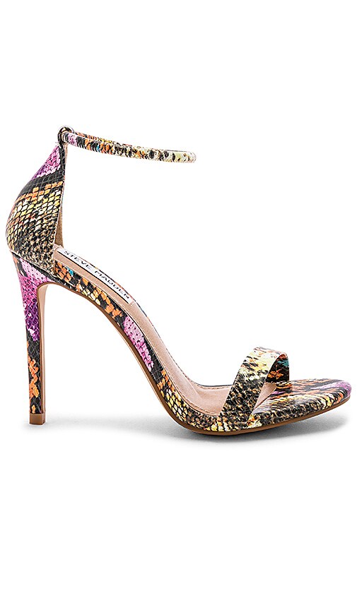 steve madden multi snake