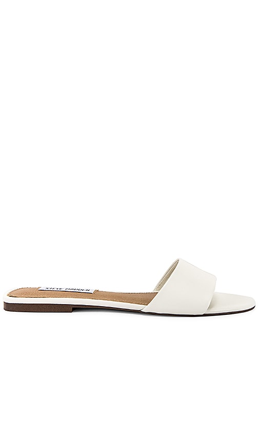 steve madden bev flat sandal