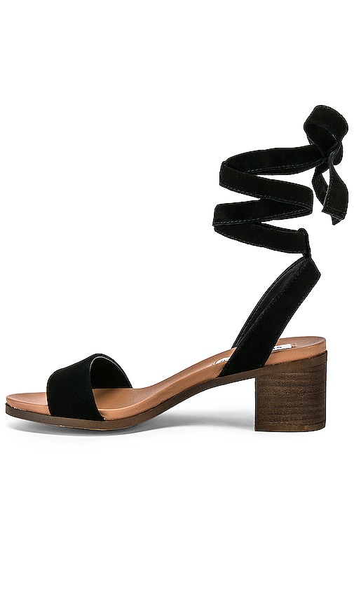 steve madden adrianne sandal