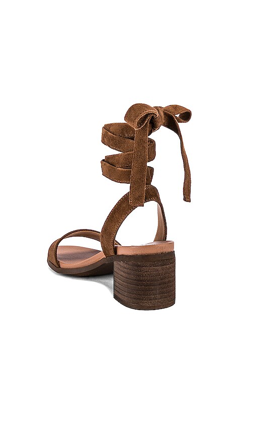 adrianne sandal steve madden